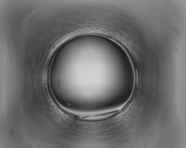 X0000111601500200907161542