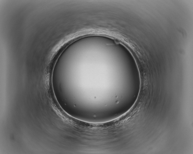 X0000111601503200907161542