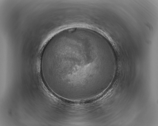 X0000111601504200907161542