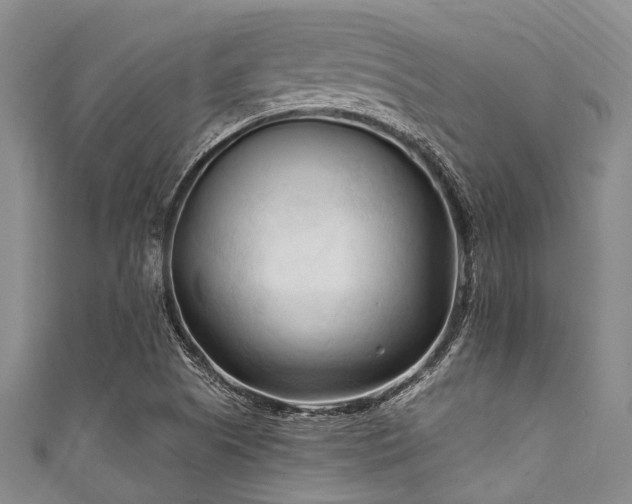 X0000111601505200907161542