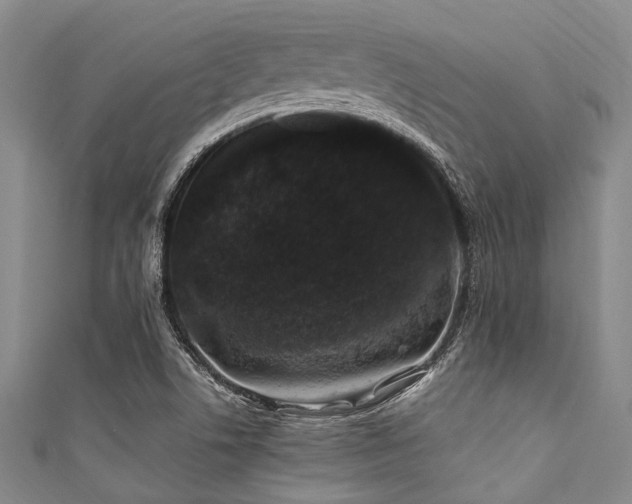 X0000111601506200907161542