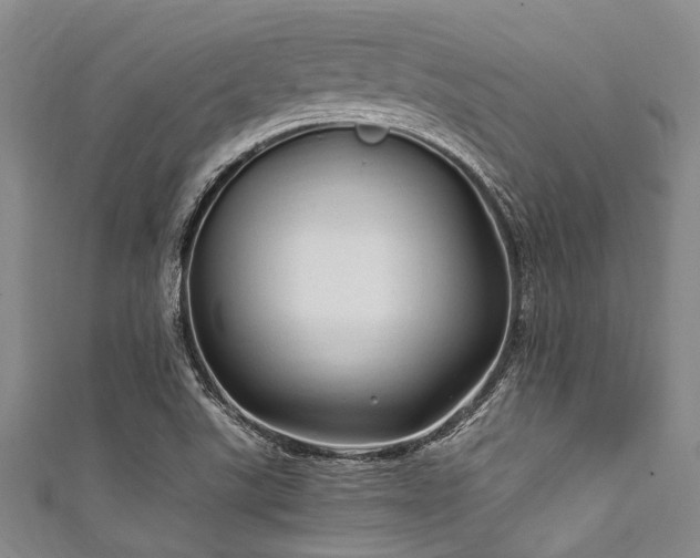 X0000111601507200907161542