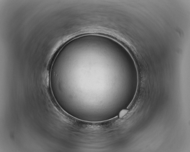 X0000111601509200907161542
