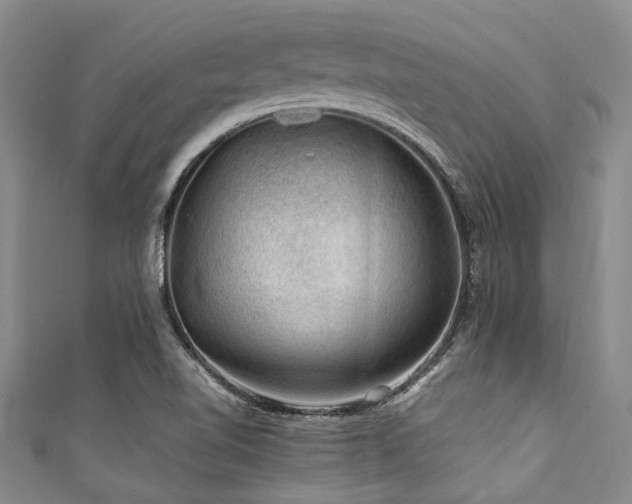 X0000111601510200907161542