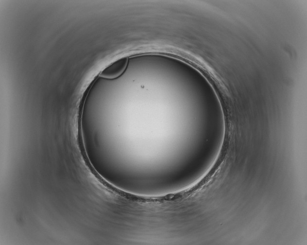 X0000111601512200907161542