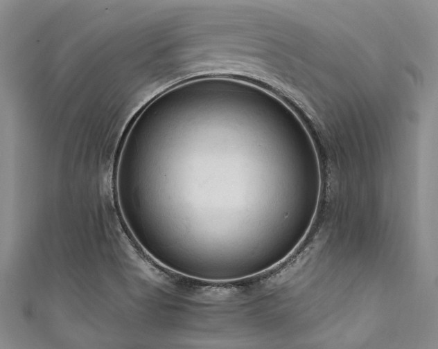 X0000111601513200907161542