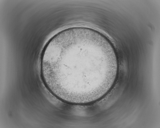 X0000111601514200907161542