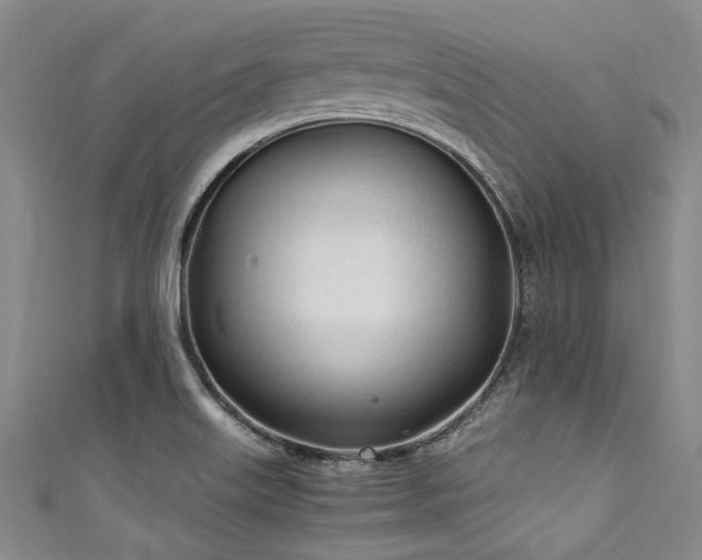 X0000111601515200907161542