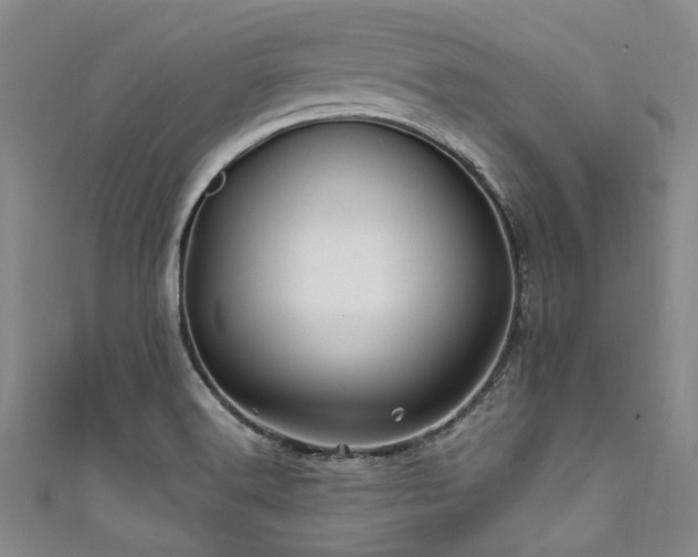 X0000111601516200907161542