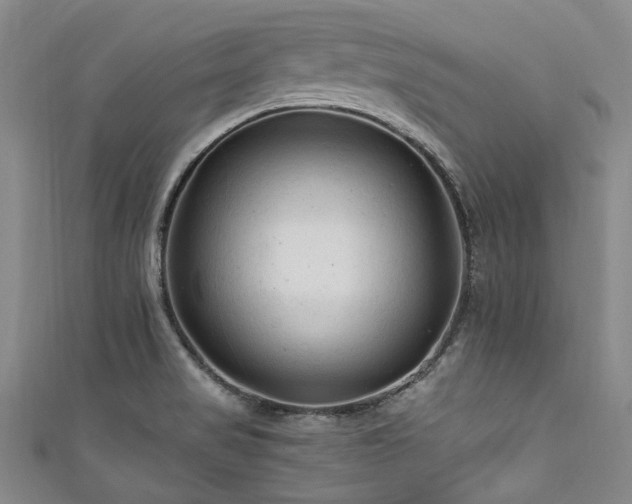 X0000111601517200907161542