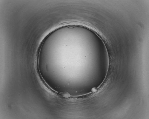 X0000111601518200907161542
