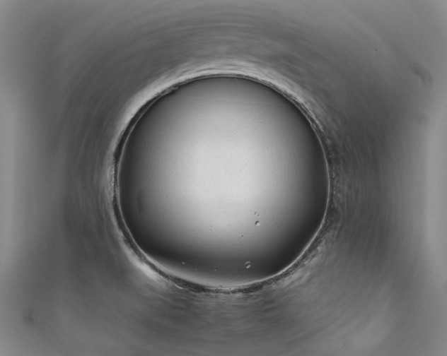X0000111601519200907161542