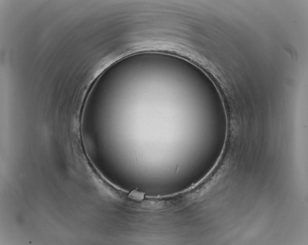 X0000111601521200907161543