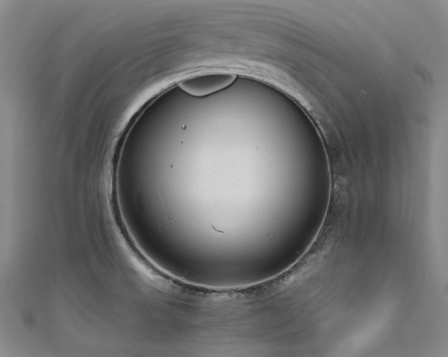 X0000111601523200907161543