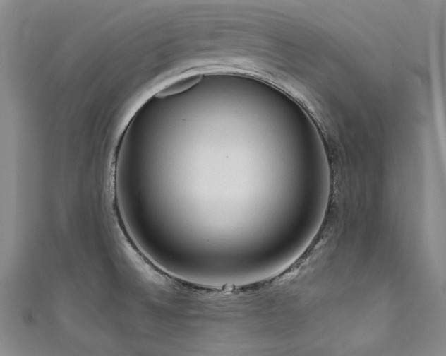 X0000111601524200907161543