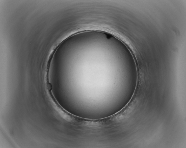 X0000111601525200907161543