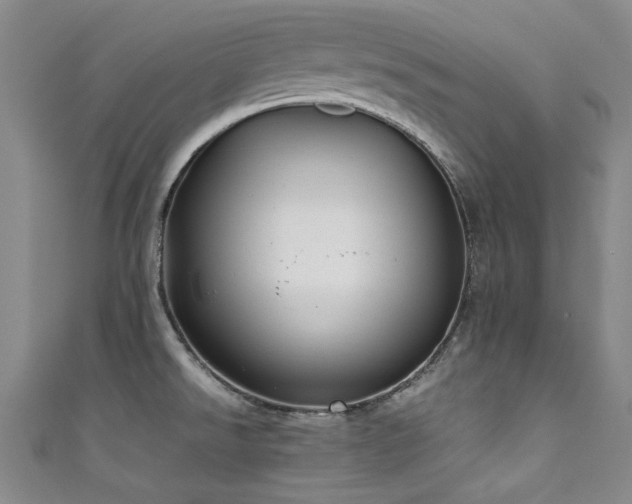 X0000111601526200907161543