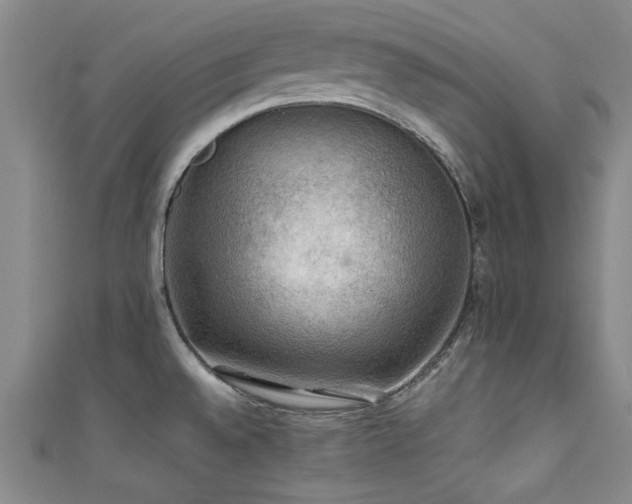 X0000111601528200907161543