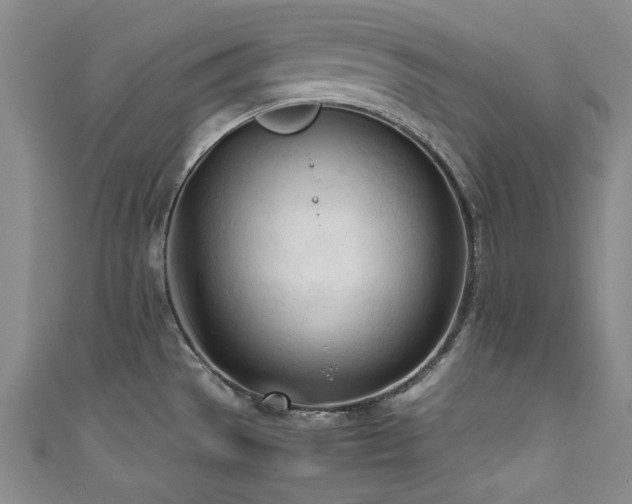 X0000111601529200907161543