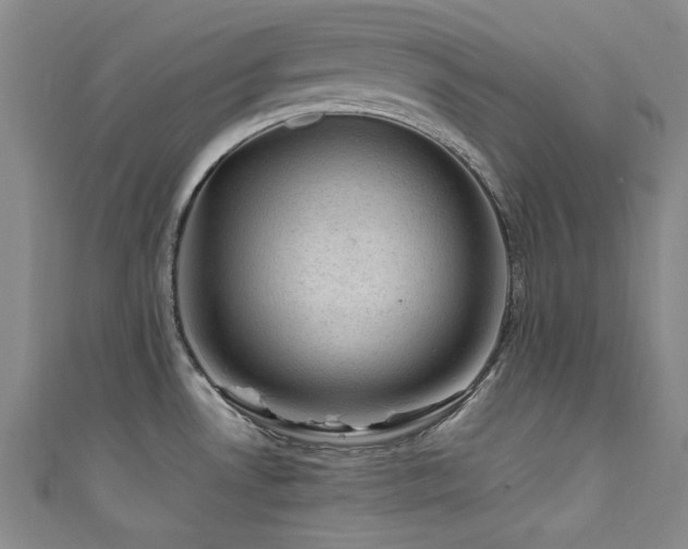 X0000111601530200907161543