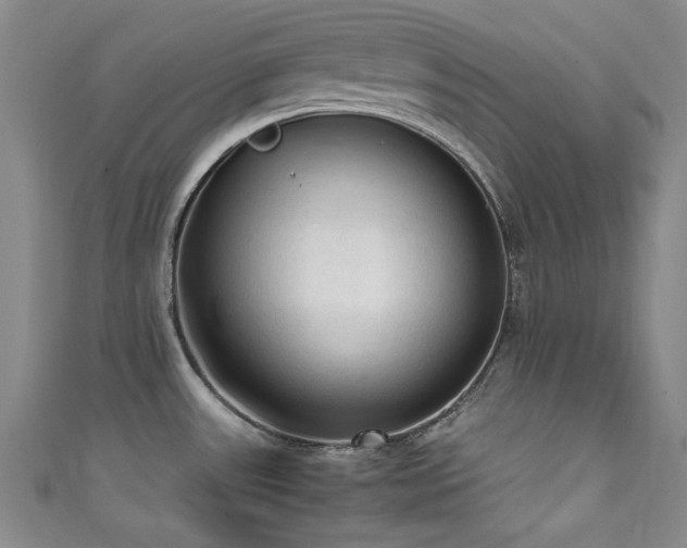 X0000111601531200907161543