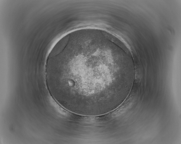 X0000111601532200907161543
