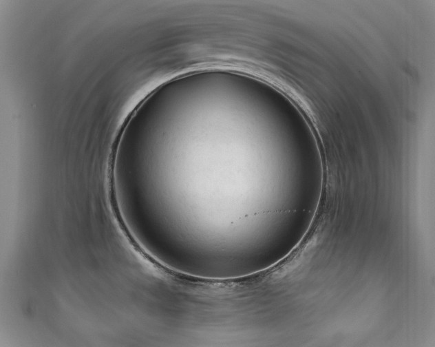 X0000111601533200907161543