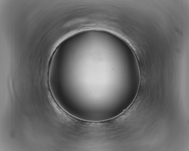X0000111601534200907161543