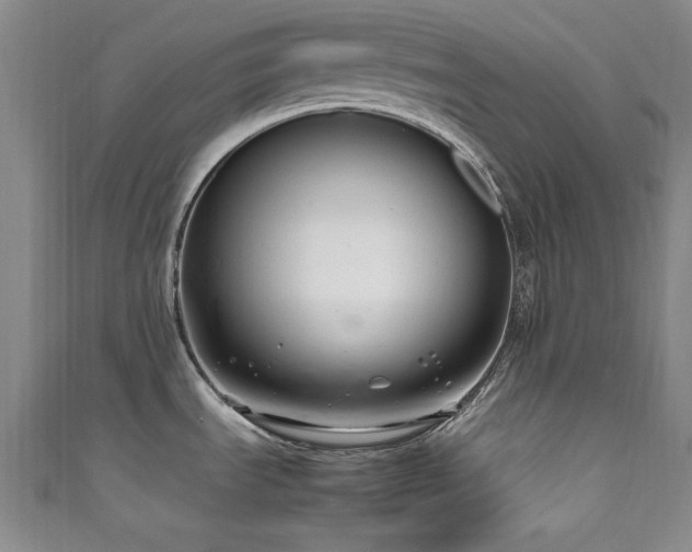 X0000111601535200907161543