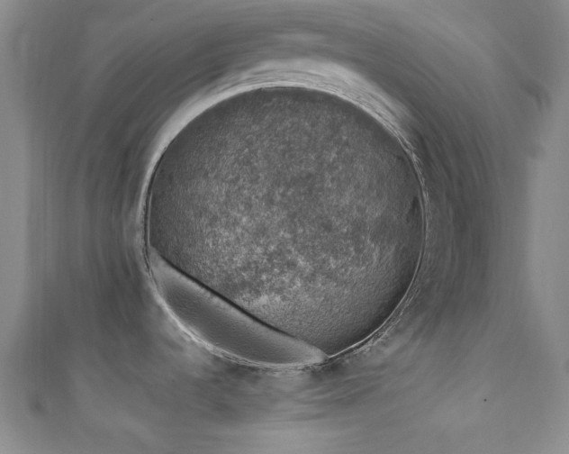 X0000111601536200907161543