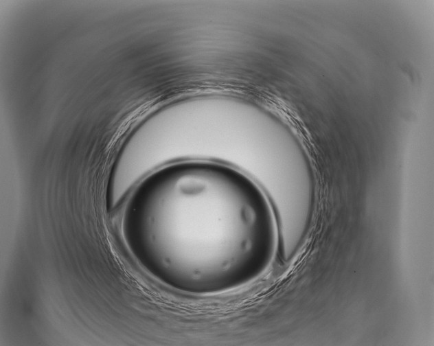 X0000111600001200907231245