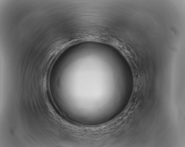 X0000111600002200907231245