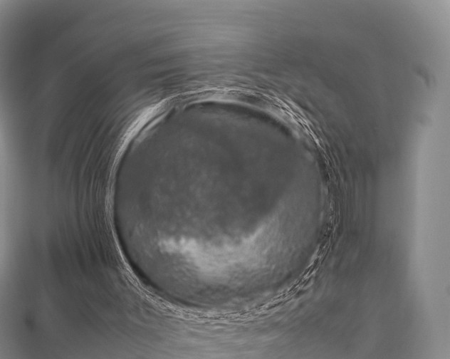 X0000111600003200907231245