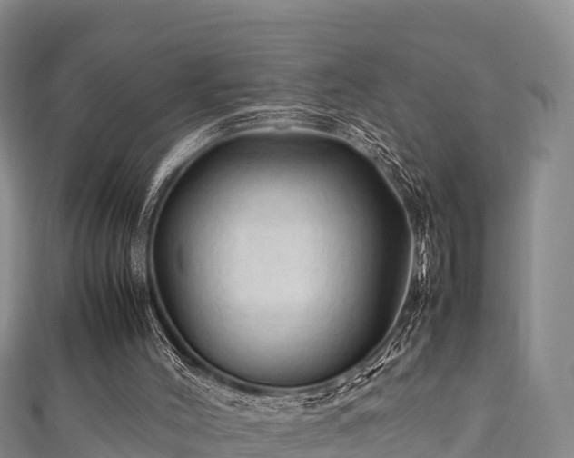 X0000111600004200907231245
