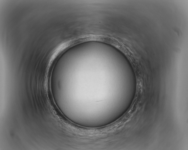 X0000111600006200907231245