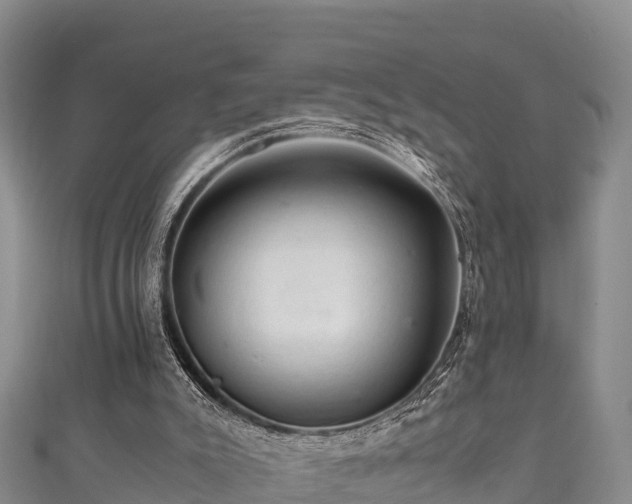 X0000111600007200907231245