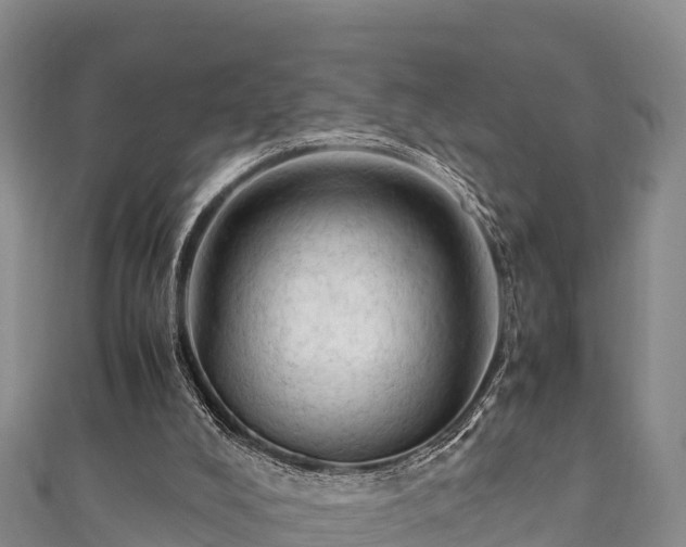 X0000111600008200907231245