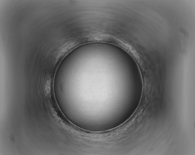 X0000111600010200907231245