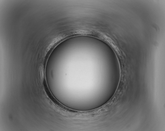 X0000111600011200907231245