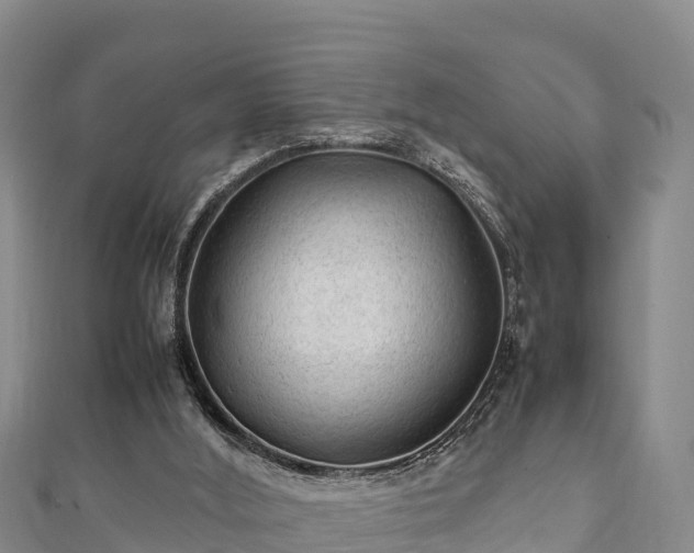 X0000111600012200907231245