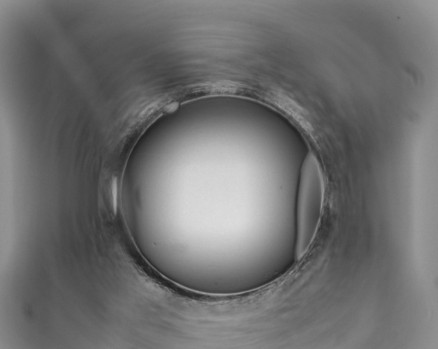 X0000111600013200907231245