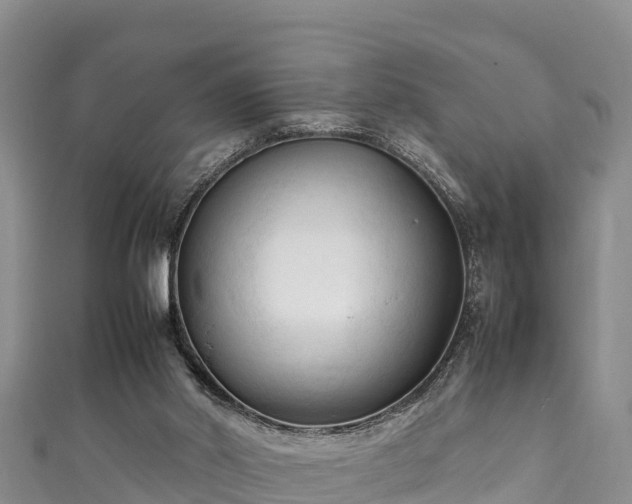 X0000111600014200907231245