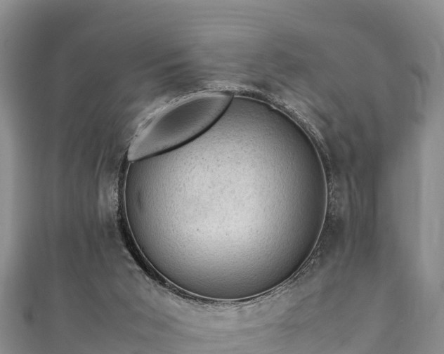 X0000111600015200907231245