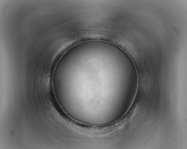 X0000111600016200907231245