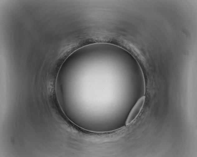 X0000111600017200907231245
