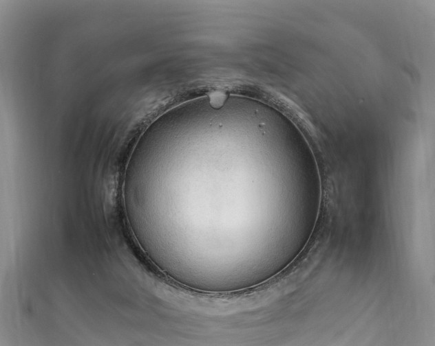 X0000111600018200907231245