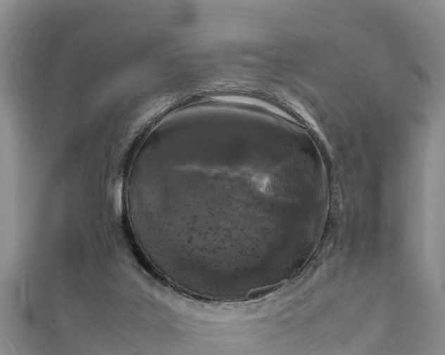 X0000111600019200907231245