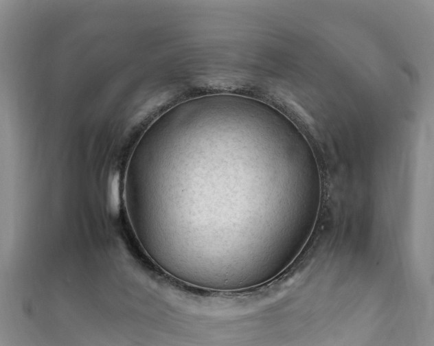 X0000111600020200907231245