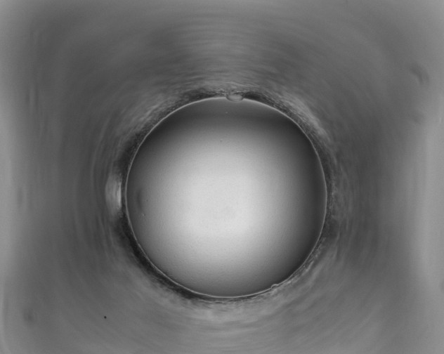 X0000111600021200907231245