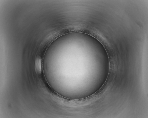 X0000111600022200907231245